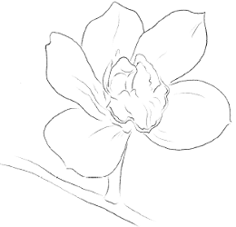 L'orchidée
