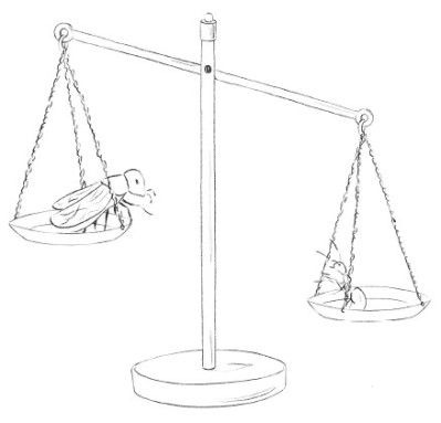 La Fourmi et la Cigale sur les plateaux d'une balance